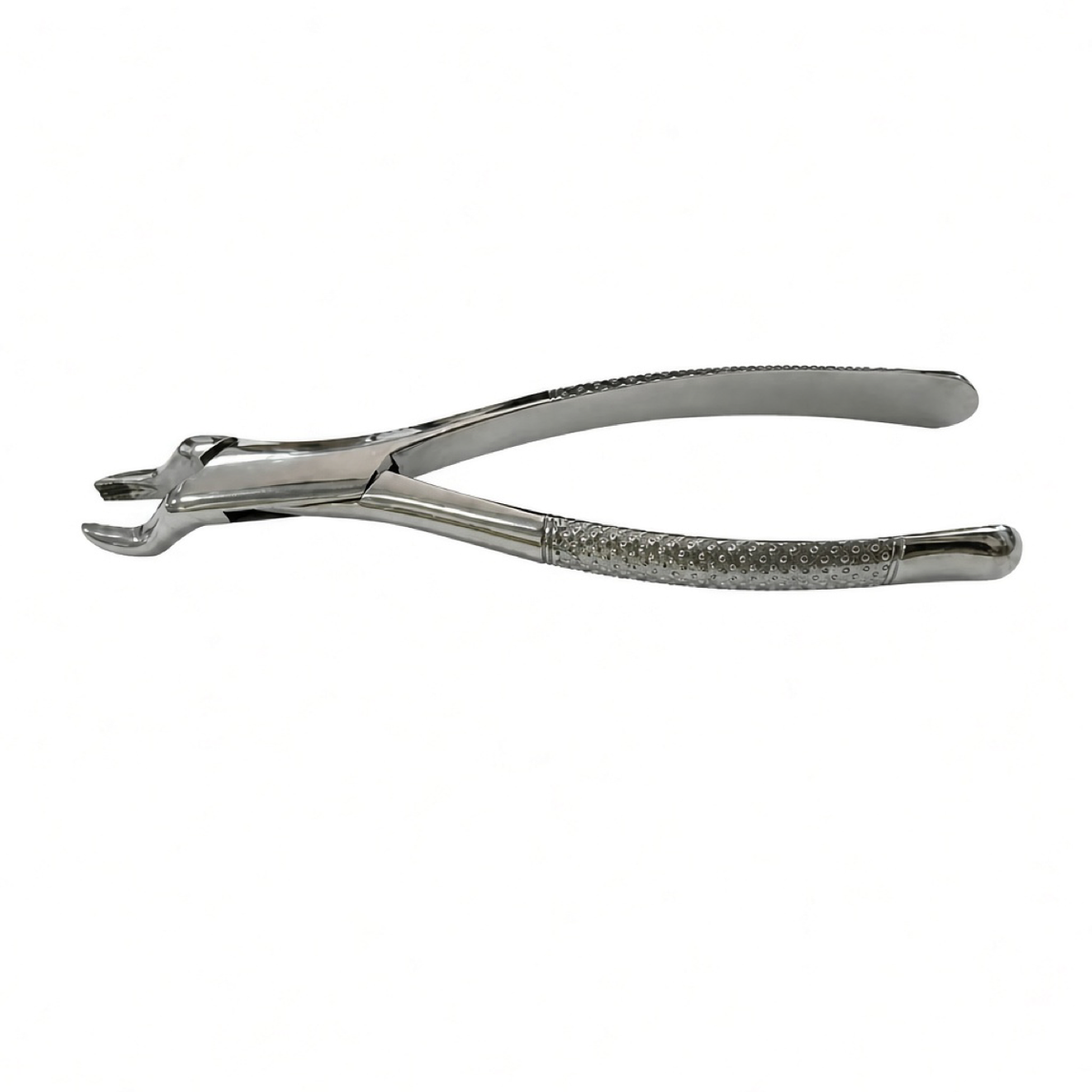 Dental Extraction Forceps, front view