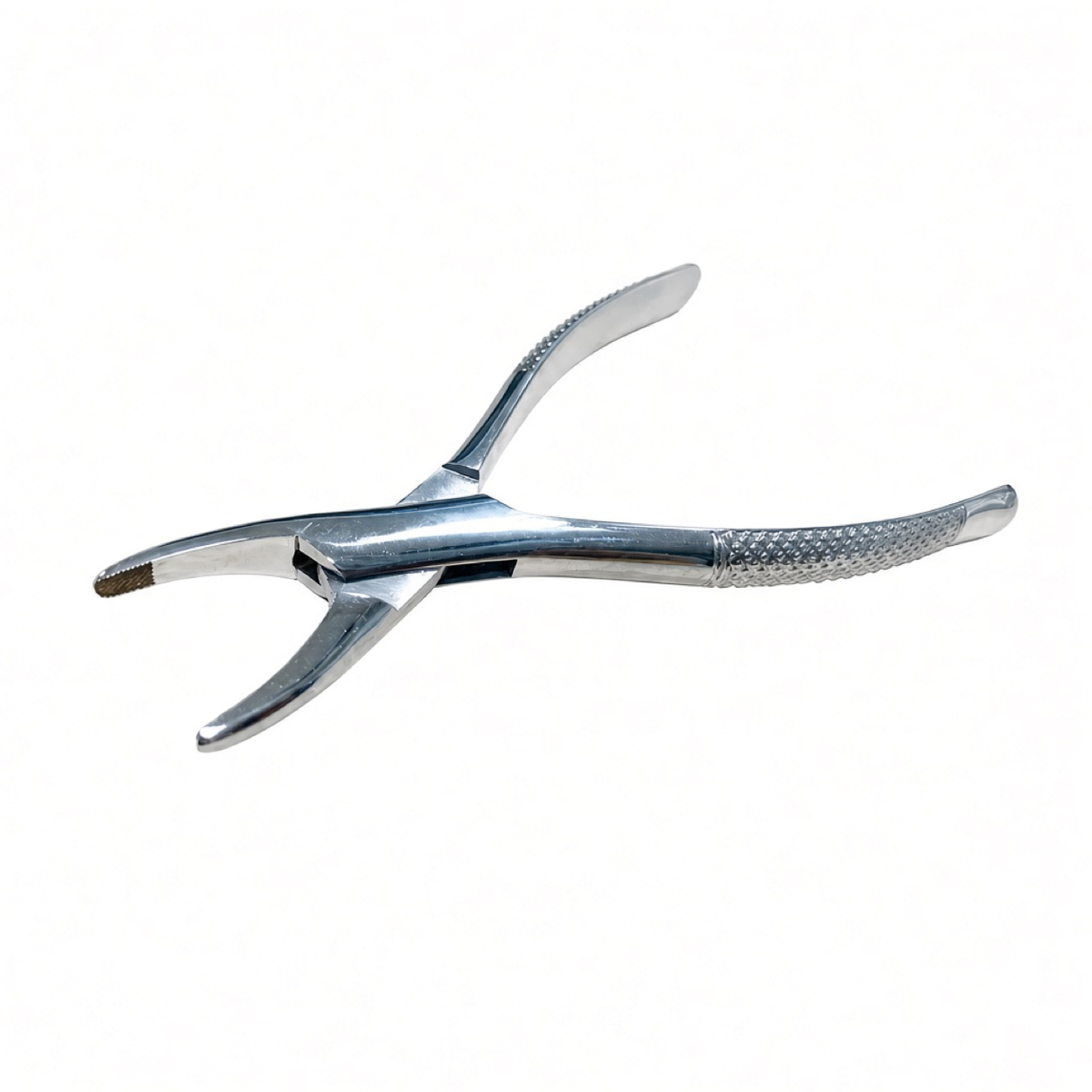 Dental Extraction Forceps, front view