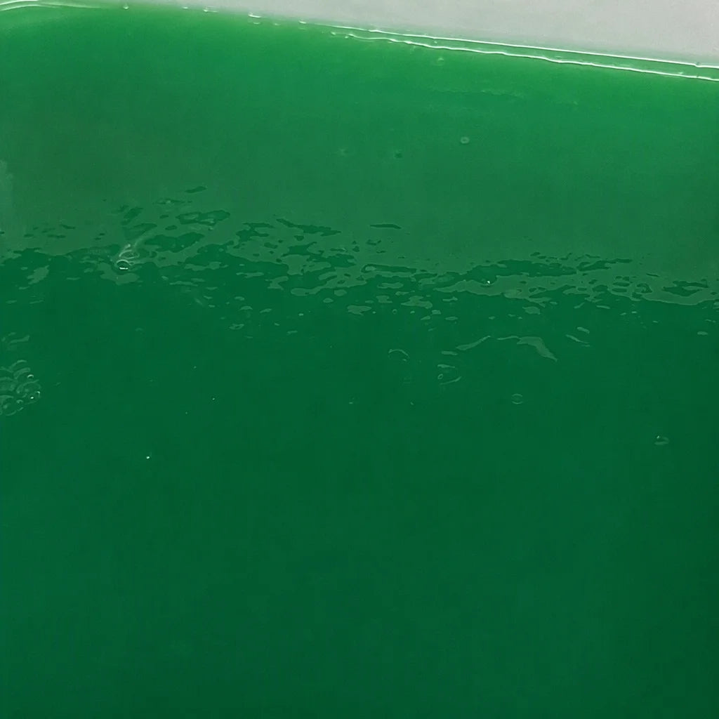 Agar Duplicating Material, detail