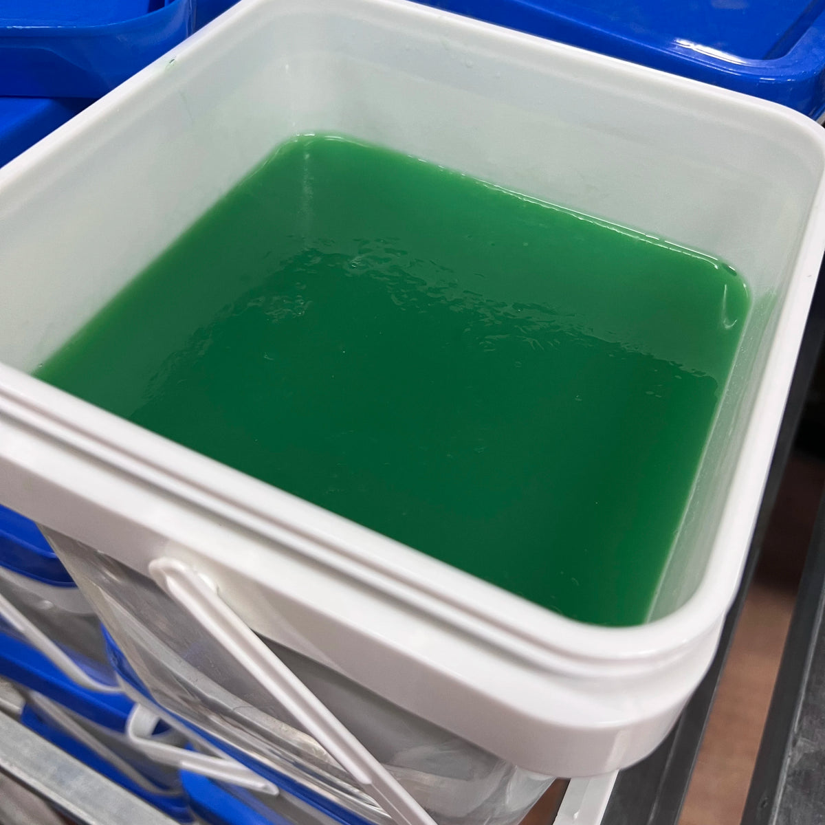 Agar Duplicating Material, detail
