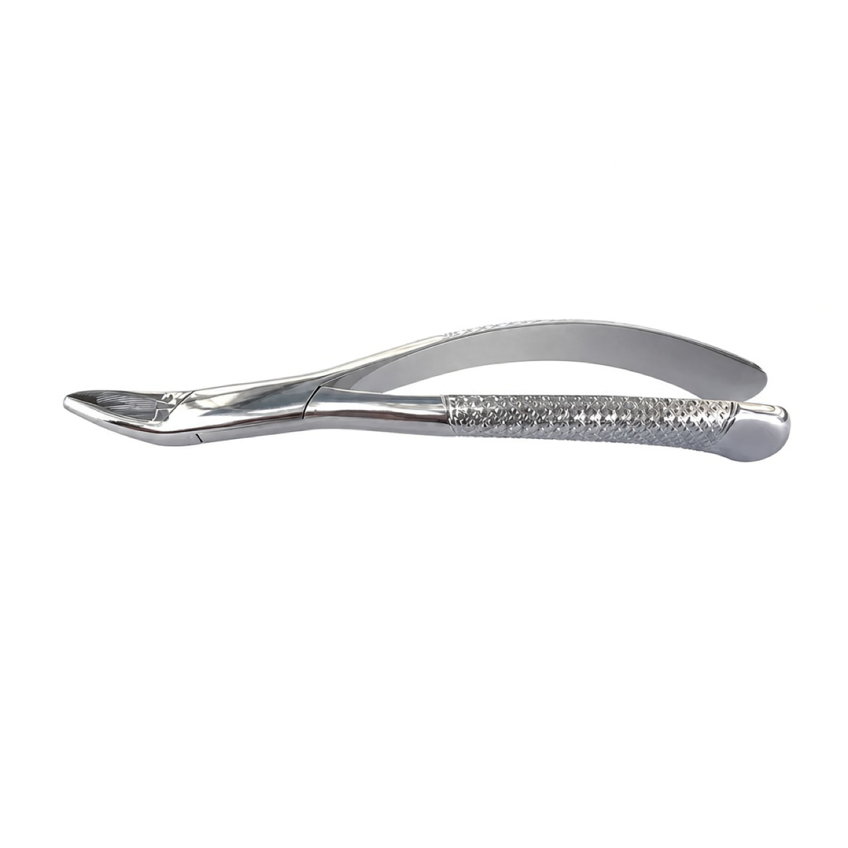 Molar Extraction Forceps, front view