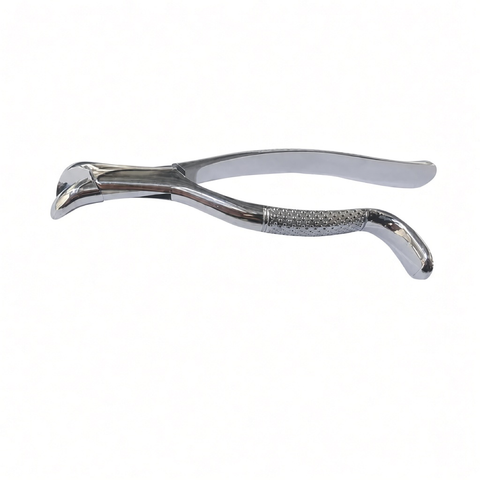 Molar Extraction Forceps, front view