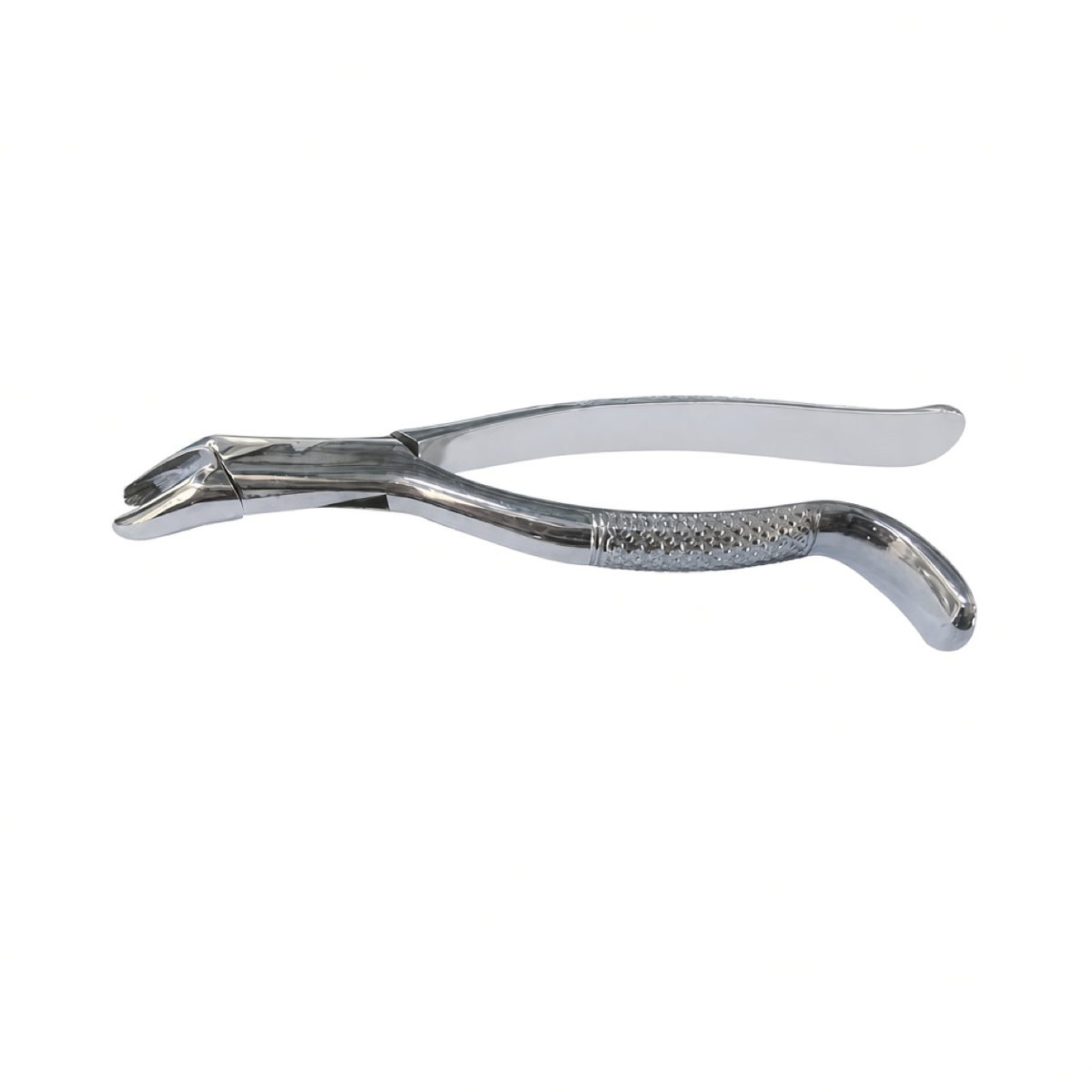 Dental Extraction Forceps, front view