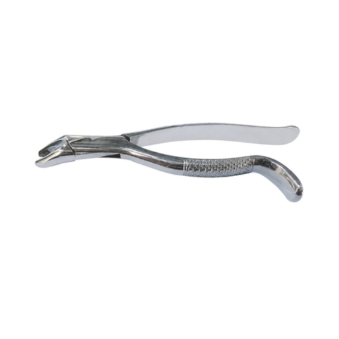 Dental Extraction Forceps, front view